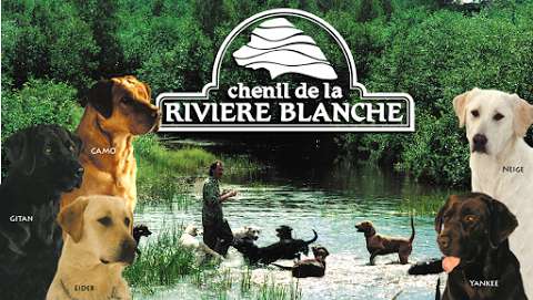 Chenil de la Rivière Blanche Inc